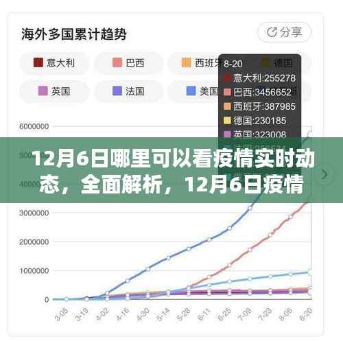 12月6日疫情实时动态全面解析及查看平台