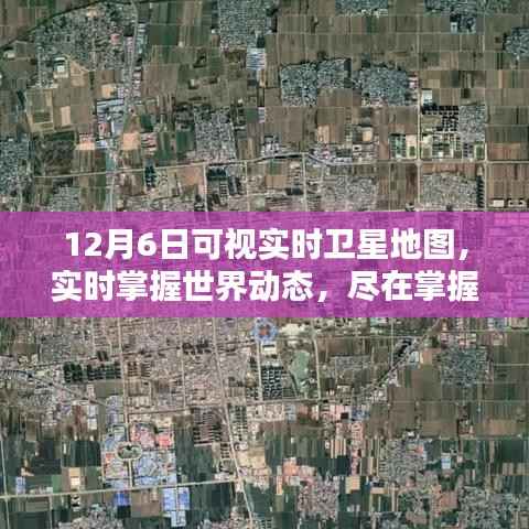花开无言 第10页