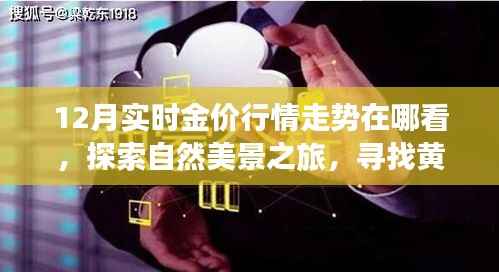 yishisanniao 第15页