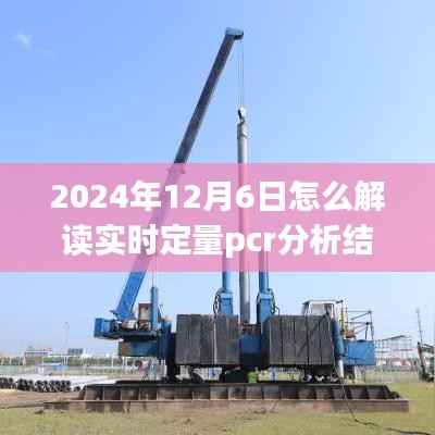 手把手教你解读实时定量PCR分析结果，掌握健康数据的关键步骤（针对2024年12月6日）