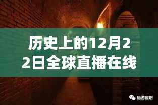 探秘小巷宝藏，特色小店全球直播纪实——12月22日实时播报