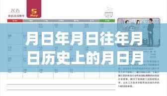 岁月变迁中的台风轨迹与成长之路，顺德台风实时路线图揭秘