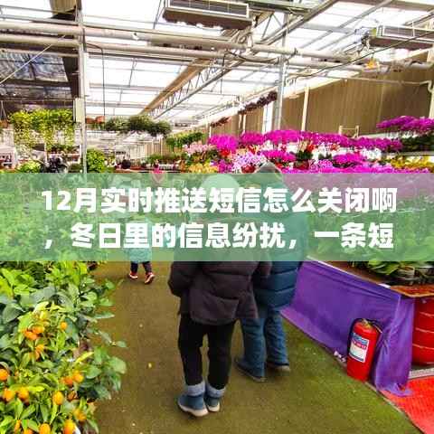hongfeixuezhua 第13页