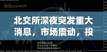 feiyanzoubi 第12页