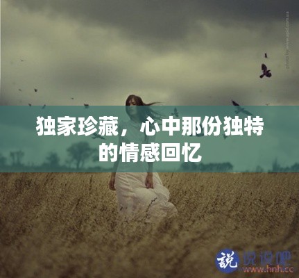 fanzhangjishu 第14页