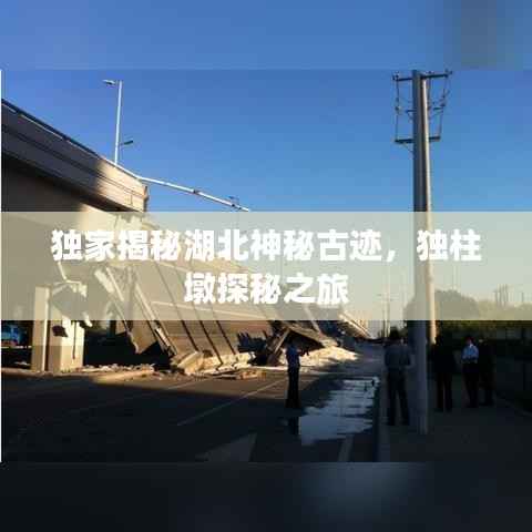 ermubise 第12页