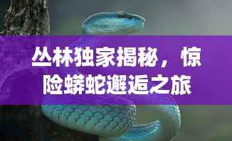 weibiansanjue 第14页