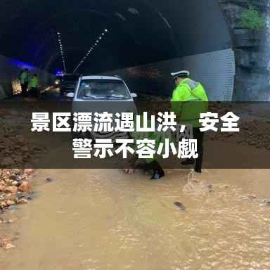 admin 第12页