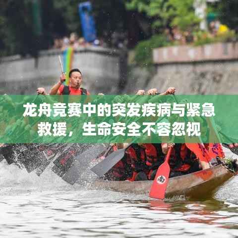 dazhangqigu 第12页