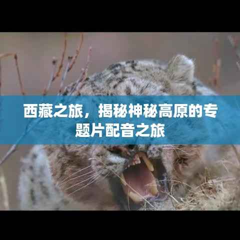 shanshishanzhong 第12页