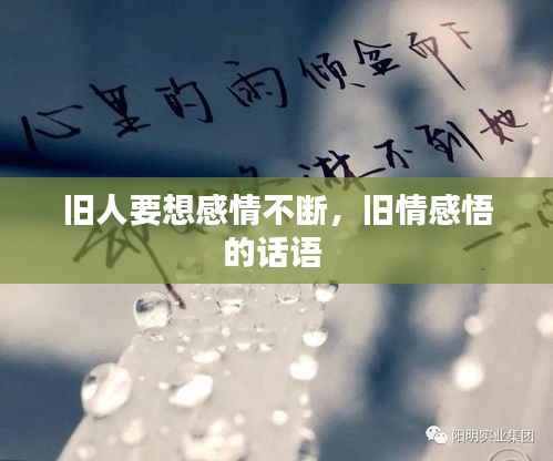 hongfeixuezhua 第12页