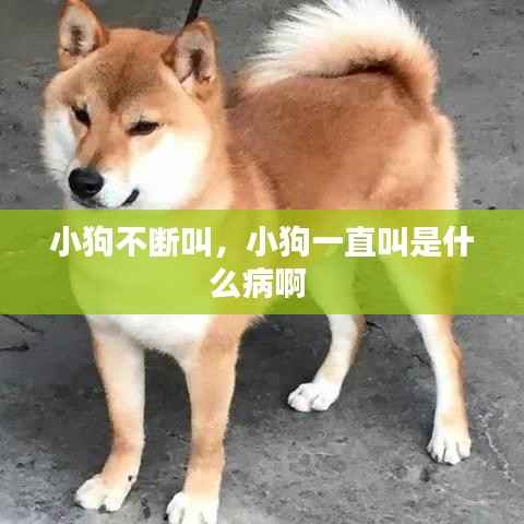 admin 第11页