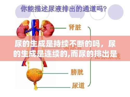 buweiquangui 第13页