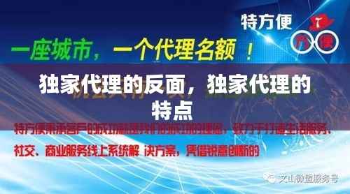 独家代理的反面，独家代理的特点 