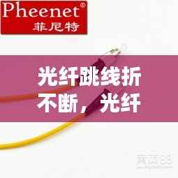 初告白 第12页