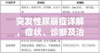 feiqiandongzhi 第13页