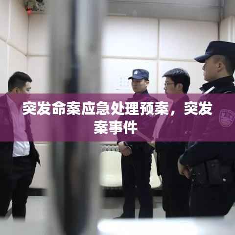 guibuzhaojiao 第12页