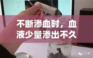 guierjianmu 第12页