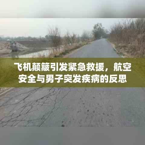 niaojingshucuan 第10页