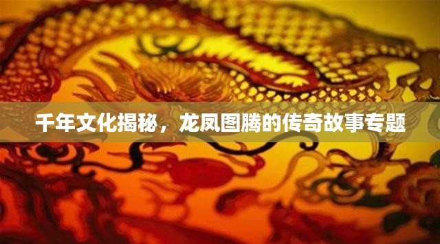 回眸最初 第12页