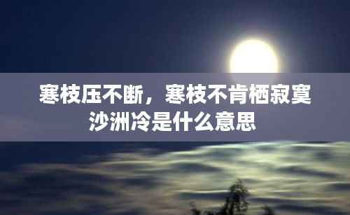 shengzhangshuwei 第12页