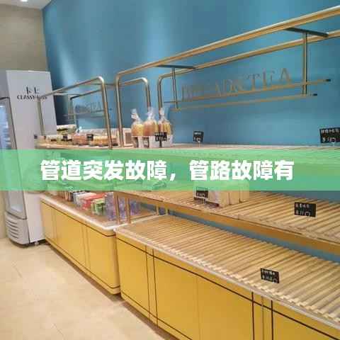 shuoguojincun 第10页