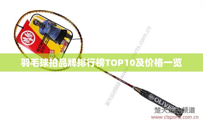 yifeichongtian 第11页