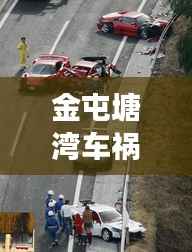 zhanchiyufei 第12页