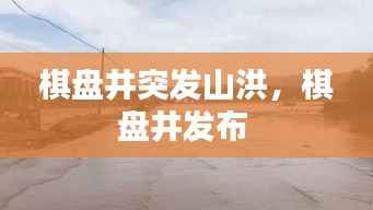 selineiren 第11页