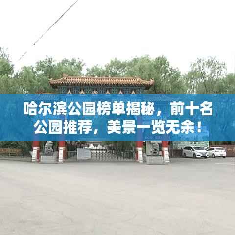 花开无言 第8页