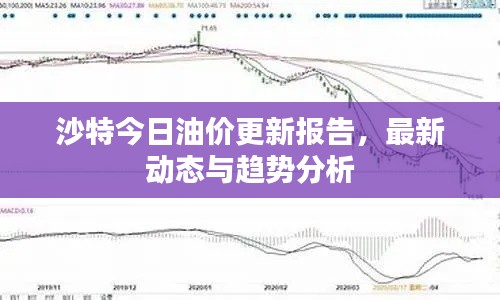 guixianjianbi 第11页
