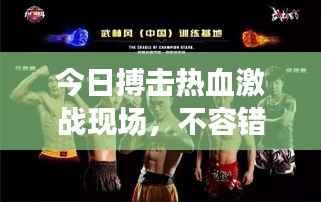 huosangaozhang 第12页