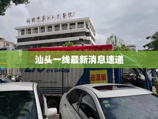 橘虞初梦 第12页