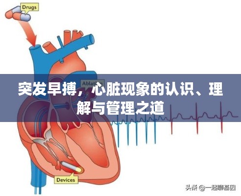 突发早搏，心脏现象的认识、理解与管理之道