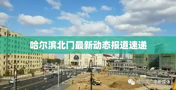 zhizhengzhaoxi 第11页