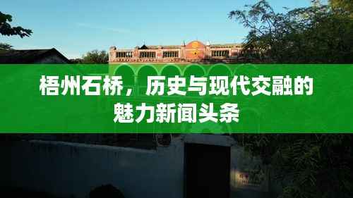 bainiaozhengming 第10页