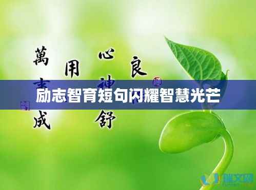 fanzhangjishu 第11页
