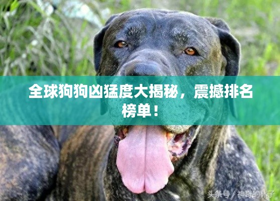 shanshishanzhong 第10页