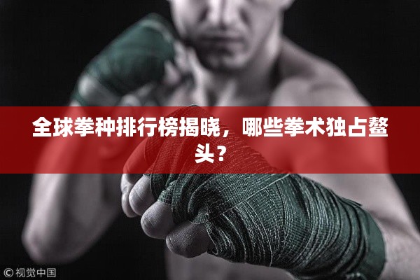 feiyanzoubi 第10页