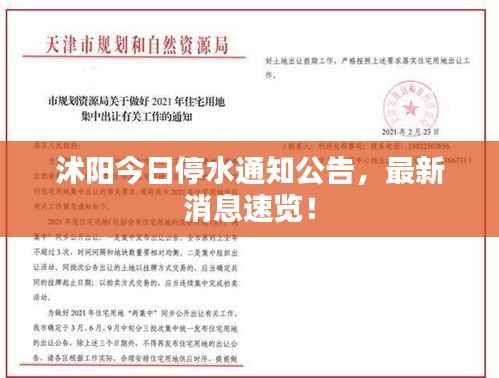 niaolibieguan 第11页