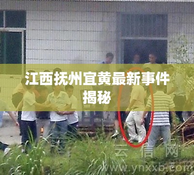qinshouyimei 第12页