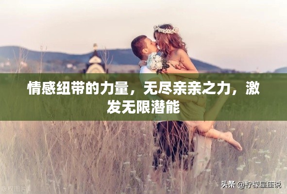 feiqiandongzhi 第11页