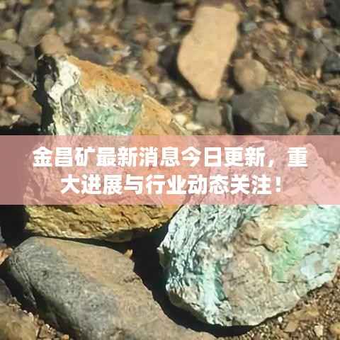 九死一生 第10页