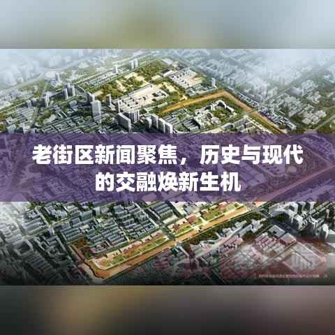 mingmuzhangdan 第8页