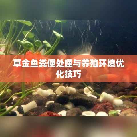 虎视眈眈 第10页
