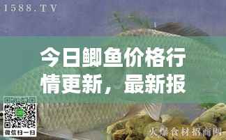 sanrenchenghu 第8页