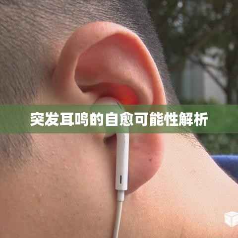 guibuzhaojiao 第9页