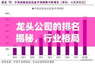 龙头公司的排名揭秘，行业格局的权威指南