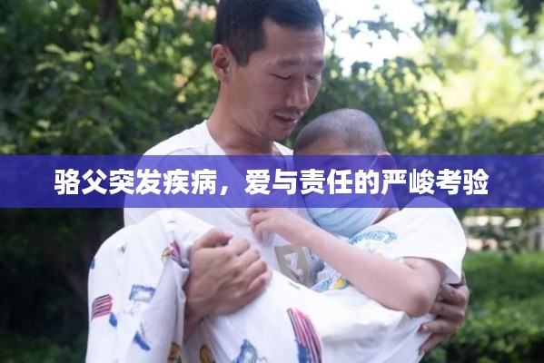 poniaocuiji 第8页