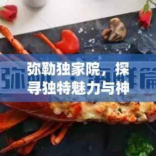 wenwenerya 第8页